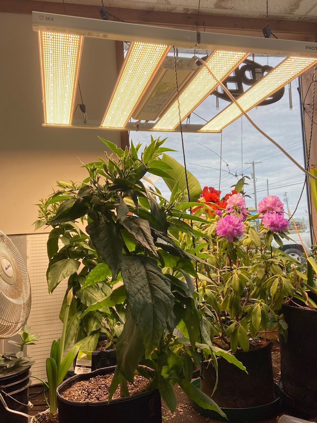 Green Zone Hydroponics | 2928 Southwestern Blvd, Orchard Park, NY 14127, USA | Phone: (716) 677-9663