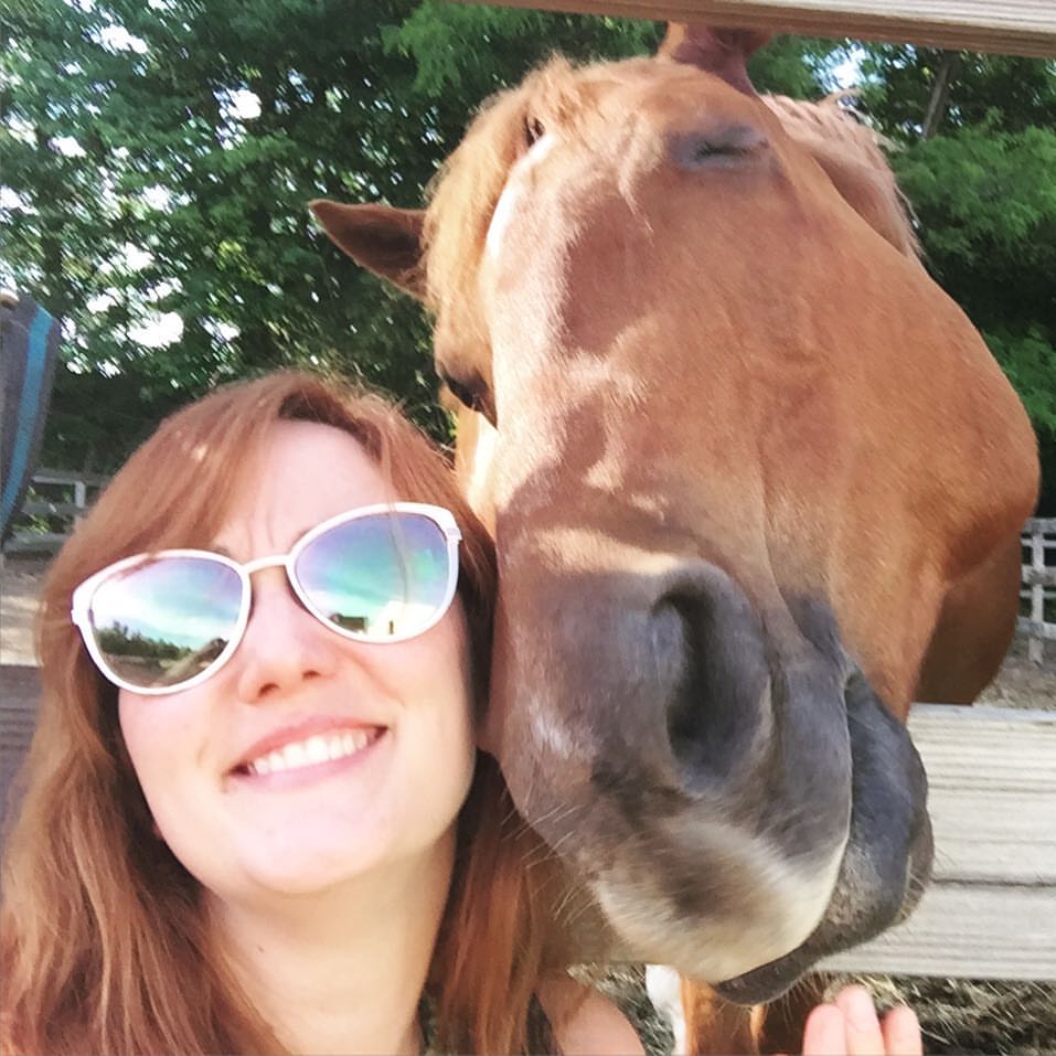 JHA Riding Academy | 5940 Veeder Rd, Slingerlands, NY 12159, USA | Phone: (518) 862-9151