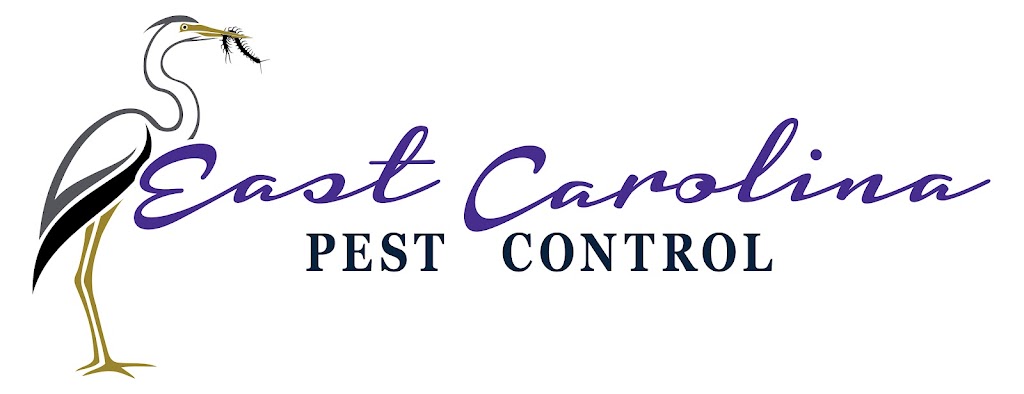 East Carolina Pest Control | 5812 Caratoke Hwy F2, Poplar Branch, NC 27965, USA | Phone: (252) 979-1212