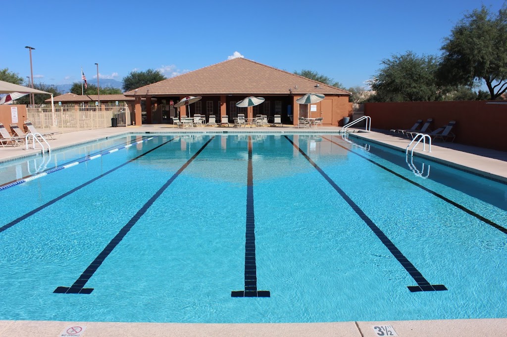 Saguaro Aquatics (Continental Ranch) | 8881 N Coachline Blvd, Tucson, AZ 85743, USA | Phone: (520) 638-8040