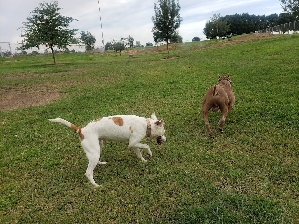 Porterville Dog Park | 2075 W Scranton Ave, Porterville, CA 93257, USA | Phone: (559) 791-7695