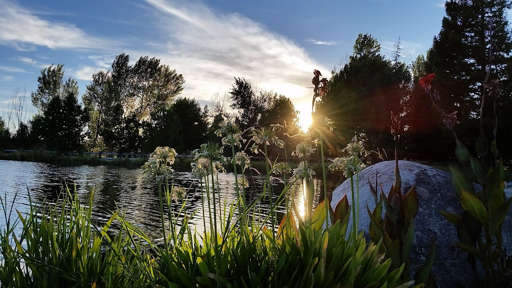 Bunz Lavender Farm | 5950 Mt Vernon Rd, Lincoln, CA 95648, USA | Phone: (916) 316-0062