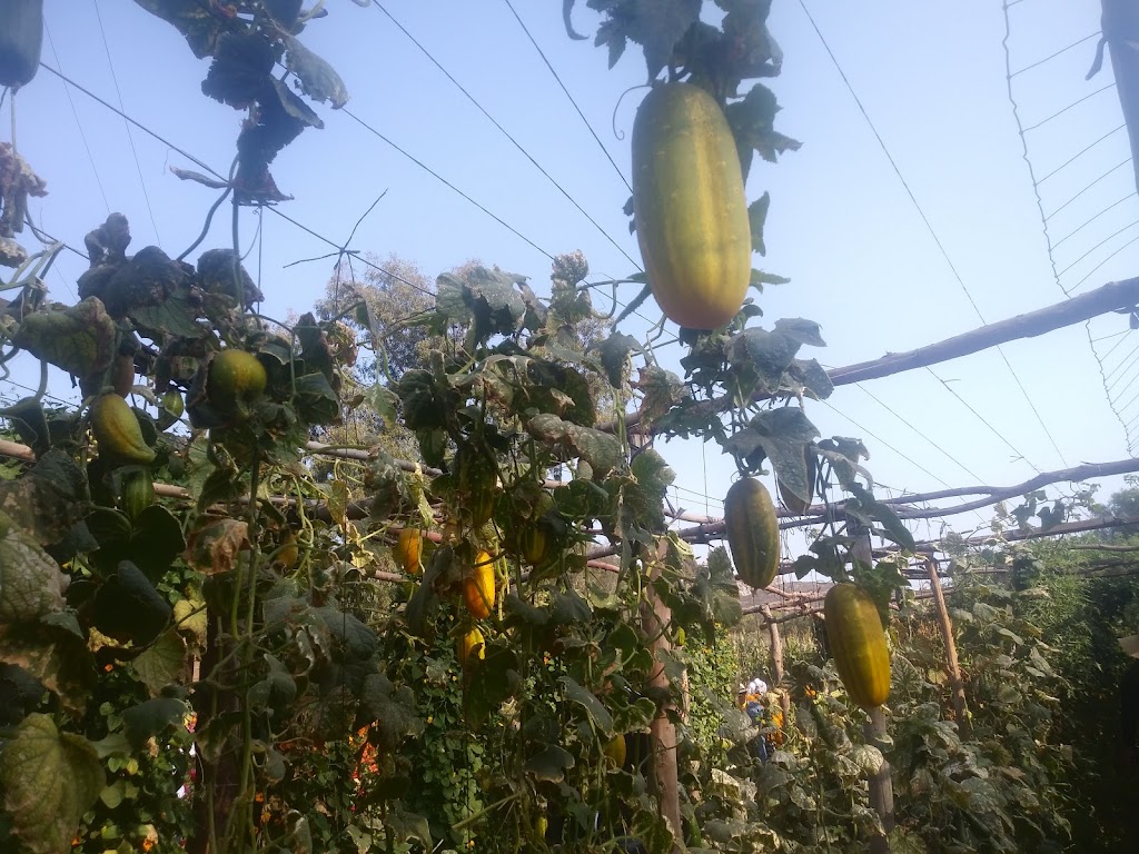 Rancho Hermanos Heredia | km 22 1, Corredor Tijuana - Rosarito 2000, El Laurel, II, 22725 Tijuana, B.C., Mexico | Phone: (619) 918-5311 Rancho Hermanos Heredia | km 22 1, Corredor Tijuana - Rosarito 2000, El Laurel, II, 22725 Tijuana, B.C., Mexico | Phone: (619) 918-5311