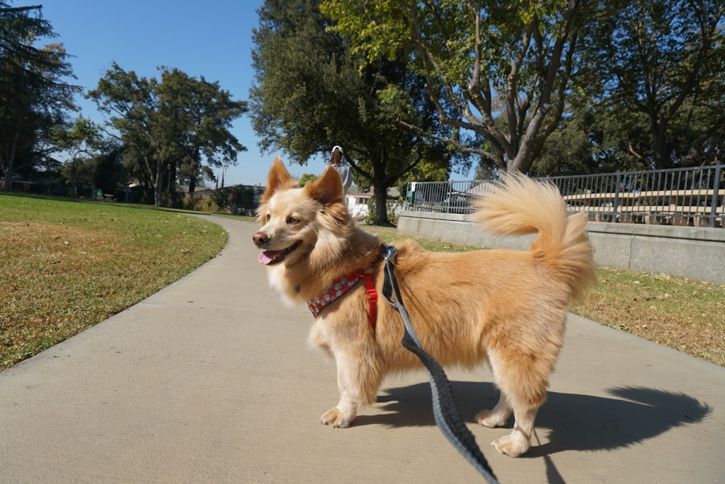 Baldwin Dog Park | 2750 Parkside Cir, Concord, CA 94519, USA | Phone: (925) 671-3404