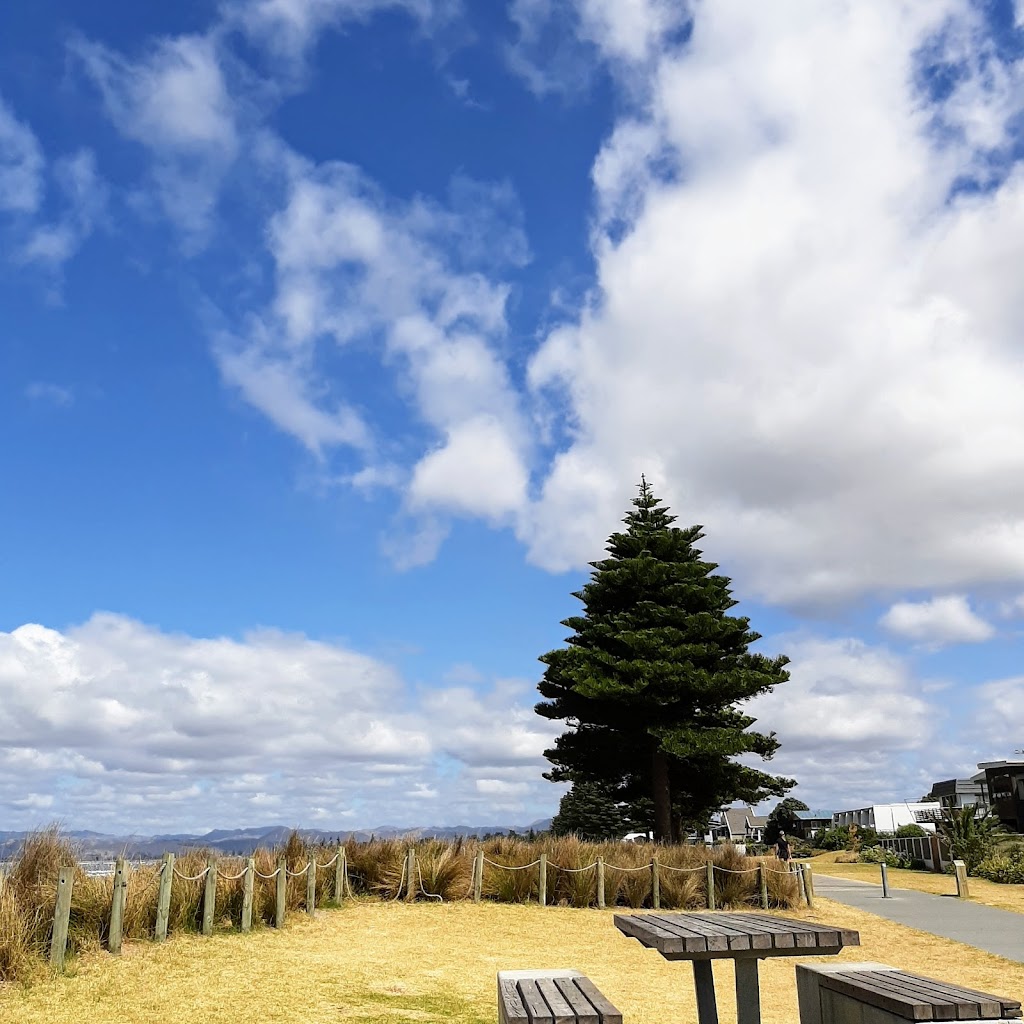 Waikanae Surf Life Saving Club | 280E Grey Street, Awapuni, Gisborne 4010, New Zealand | Phone: 06 867 7537