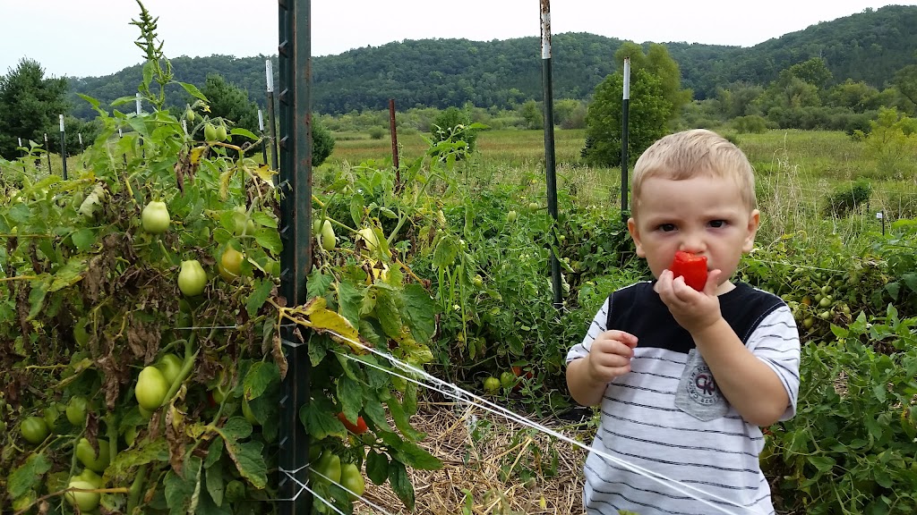 Vermont Valley Community Farm | 4628 Co Rd FF, Blue Mounds, WI 53517, USA | Phone: (608) 767-3860