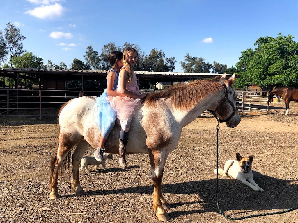 Circle T Ranch | 20010 Fargo Ave, Lemoore, CA 93245, USA | Phone: (559) 288-9537