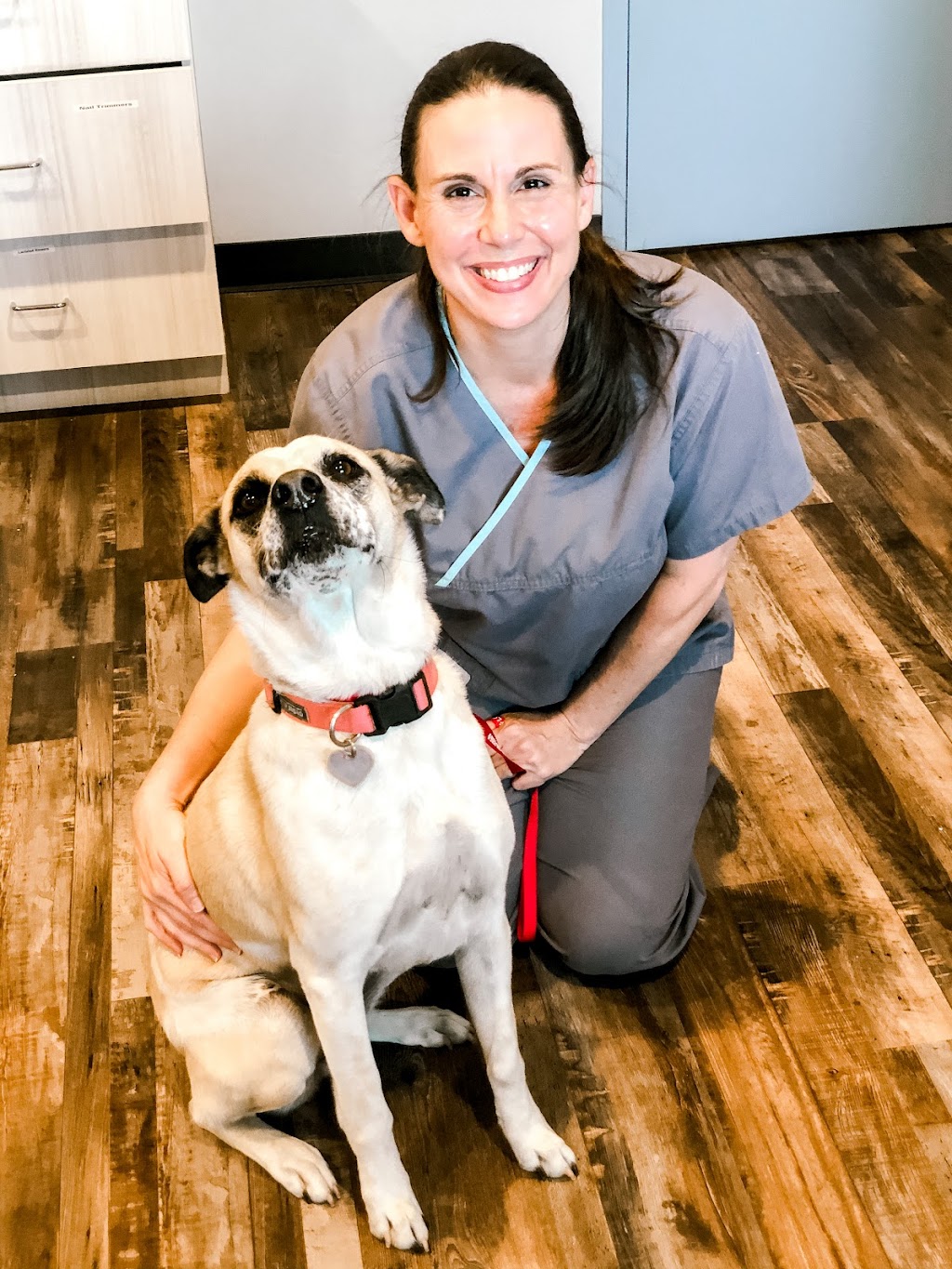 Lone Star Animal Hospital | 2500 US-290, Dripping Springs, TX 78620, USA | Phone: (737) 777-8613