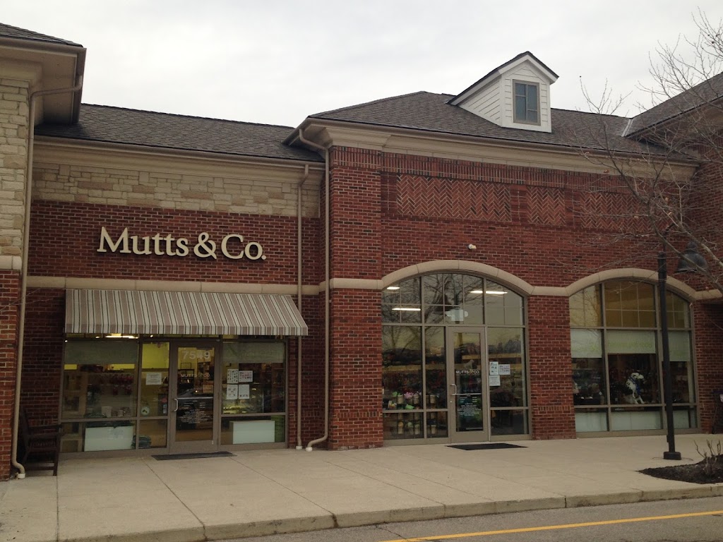 Mutts & Co. | 7549 Sawmill Rd, Dublin, OH 43016, USA | Phone: (614) 792-6888
