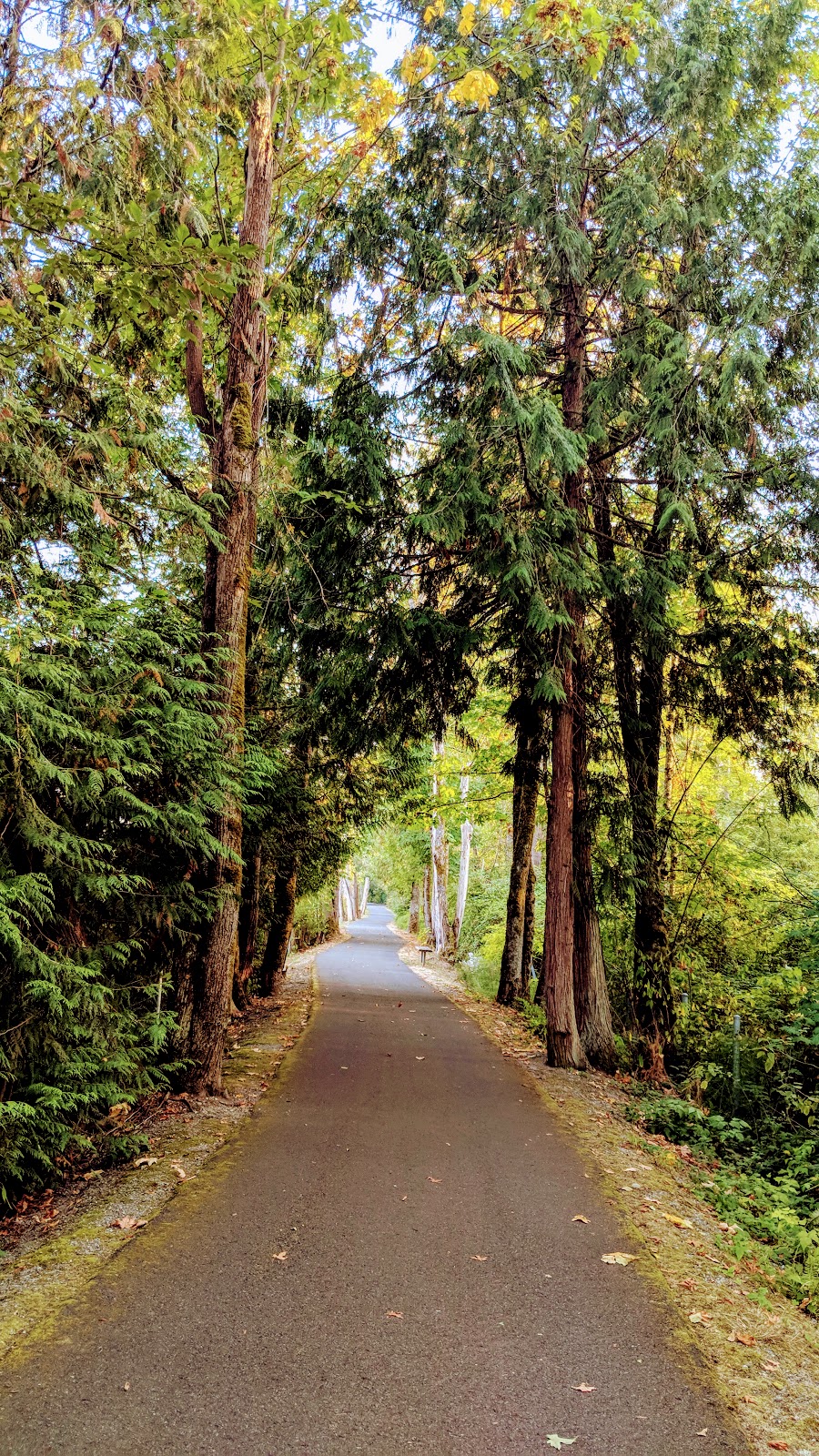 Bear Creek Park | Evans Creek Trail, Redmond, WA 98053, USA | Phone: (425) 556-2900