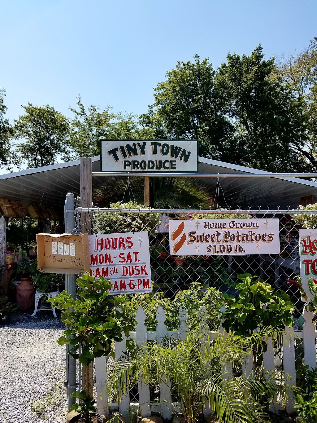 Tiny Town Produce | 10155 Dixie Beeline Hwy, Guthrie, KY 42234, USA | Phone: (270) 483-6009