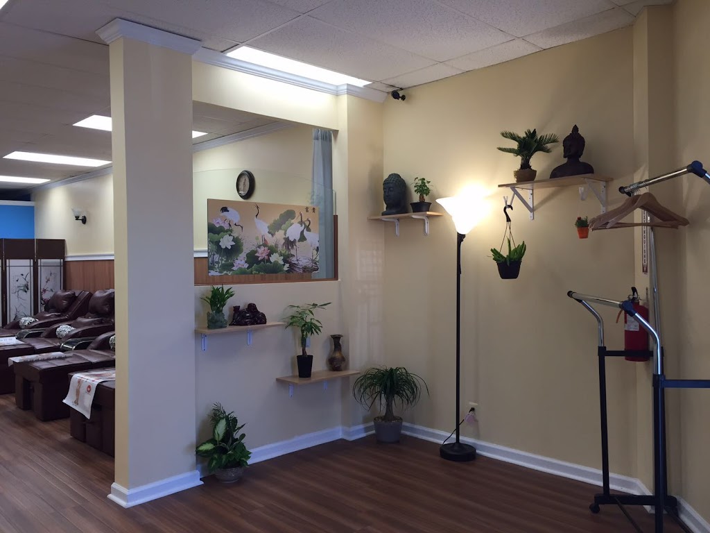 TuiNa Massage & Health Center | 286 Route 206 unit C2, Flanders, NJ 07836, USA | Phone: (973) 598-8888 TuiNa Massage & Health Center | 286 Route 206 unit C2, Flanders, NJ 07836, USA | Phone: (973) 598-8888