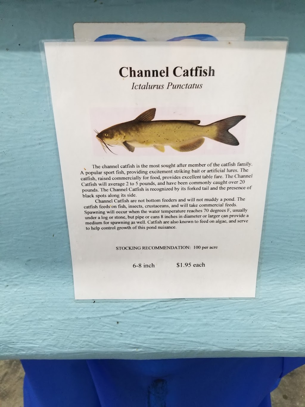Fish Haven Farm | 978 Owego Rd, Candor, NY 13743, USA | Phone: (607) 659-3474