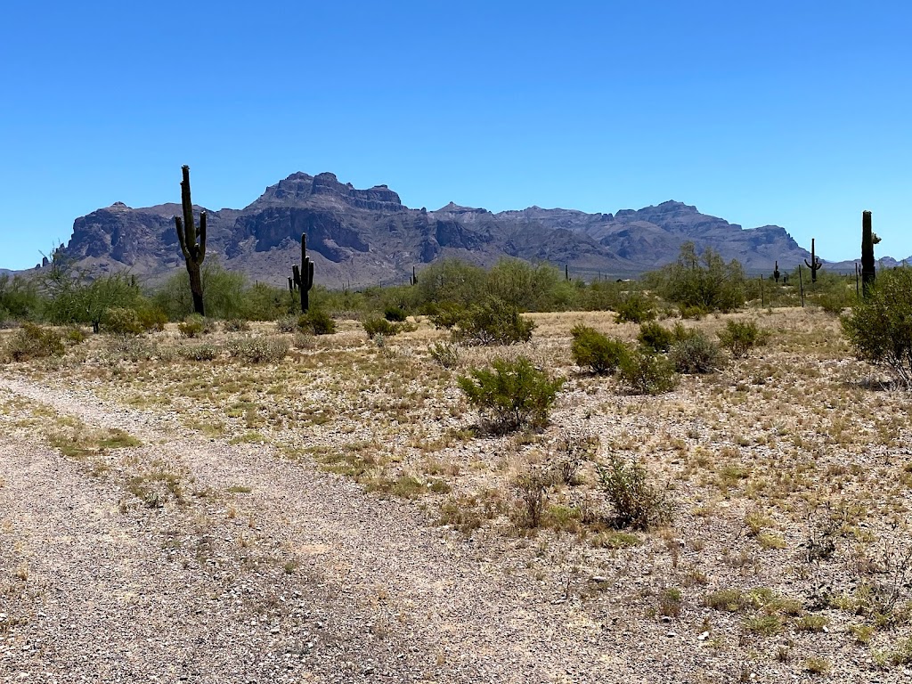 Apache Junction Public Library | 1177 N Idaho Rd, Apache Junction, AZ 85119, USA | Phone: (480) 474-8555