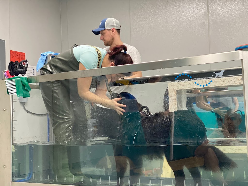 Scuba Sams Canine Hydrotherapy LLC | 1001 Alanis Dr Suite 220, Wylie, TX 75098, USA | Phone: (469) 347-3748