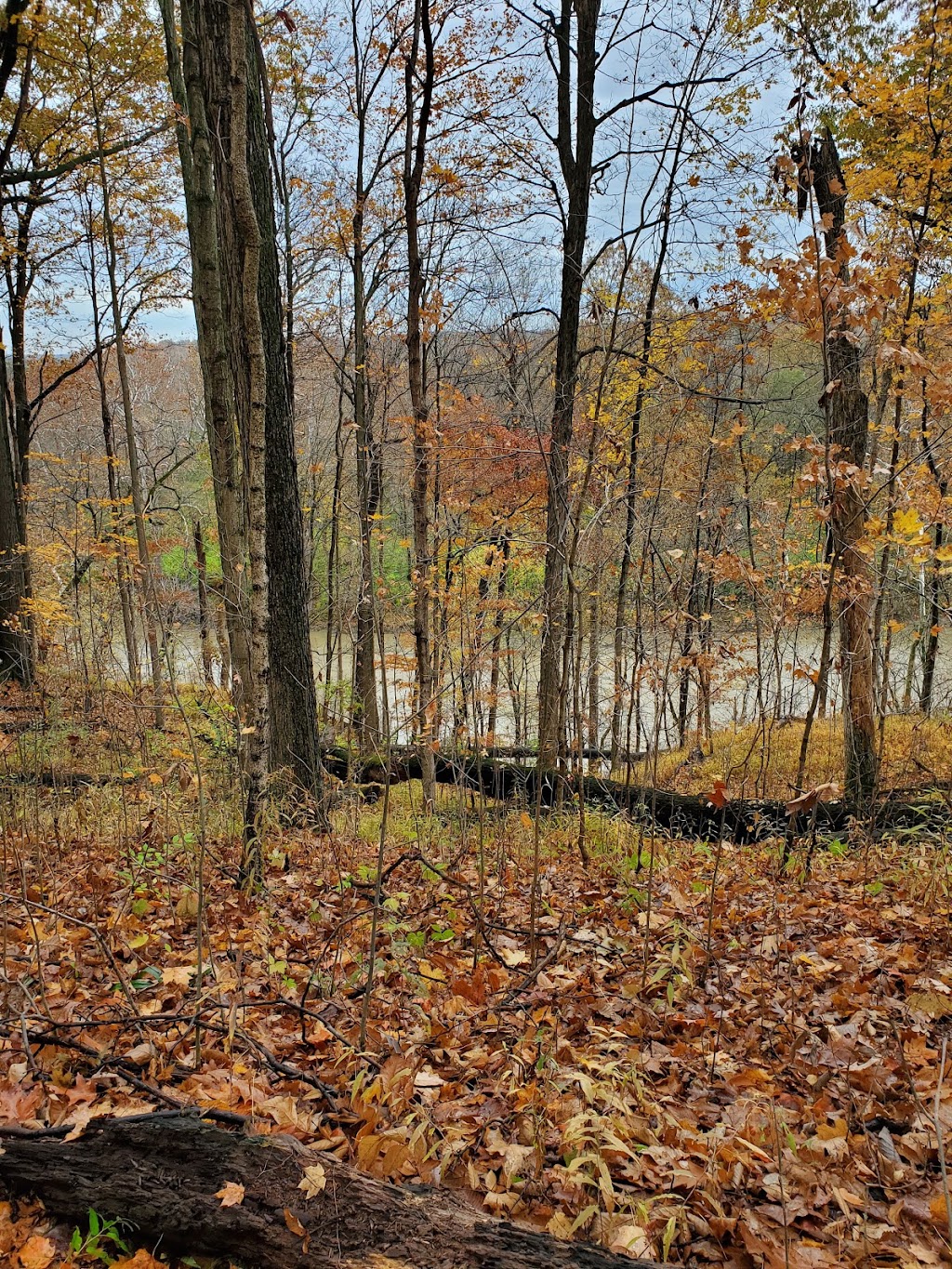 Tel-Hy Nature Preserve - Acres Land Trust | 1429 N 300 W, Huntington, IN 46750, USA | Phone: (260) 637-2273