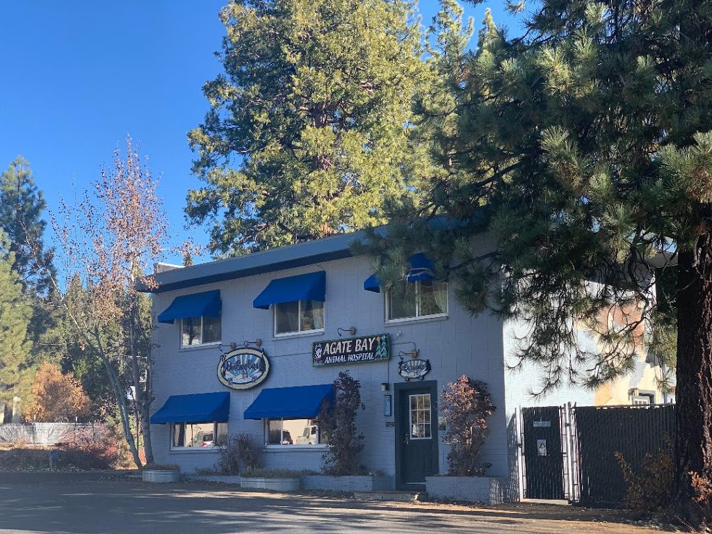 Agate Bay Animal Hospital | 580 National Ave, Tahoe Vista, CA 96148, USA | Phone: (530) 546-7522