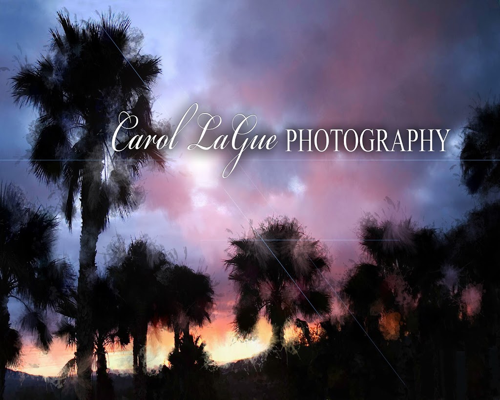 Carol LaGue Photography | 676 S Rainbow Route, Sanger, CA 93657, USA | Phone: (559) 860-9078