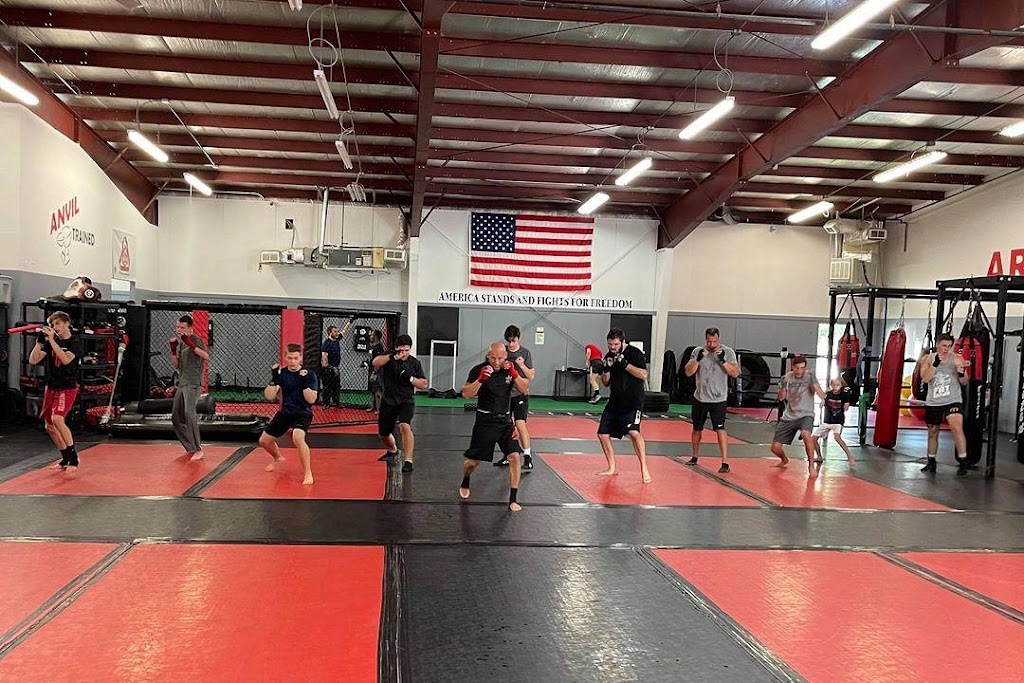 Ares Combat Sports Academy | 420 Highland Rd, Macedonia, OH 44056 | Phone: (330) 748-4931