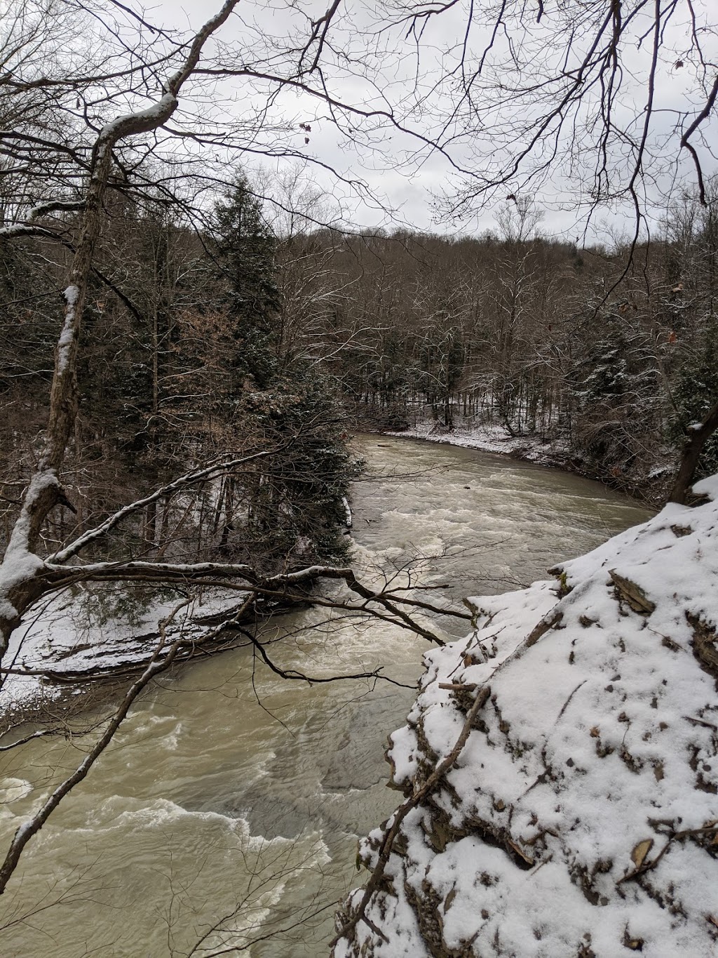Forty Road Parking Area | 10229 Forty Rd, Gowanda, NY 14070, USA | Phone: (518) 408-5850