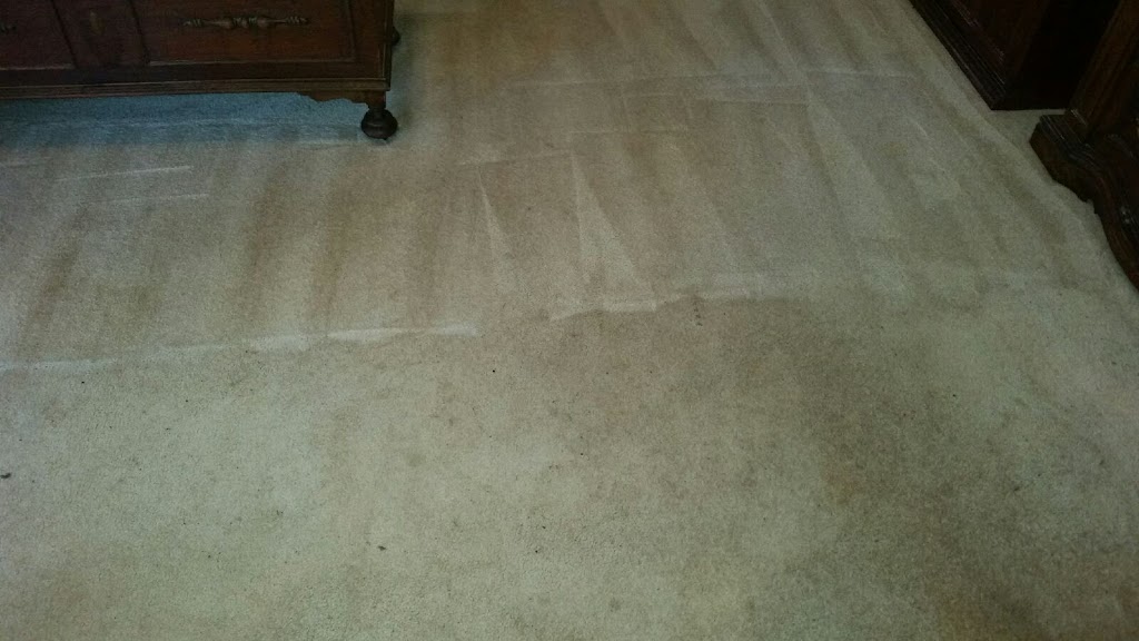 Best Carpet Cleaning Experts | 25900 US-281, San Antonio, TX 78258, USA | Phone: (210) 857-0682
