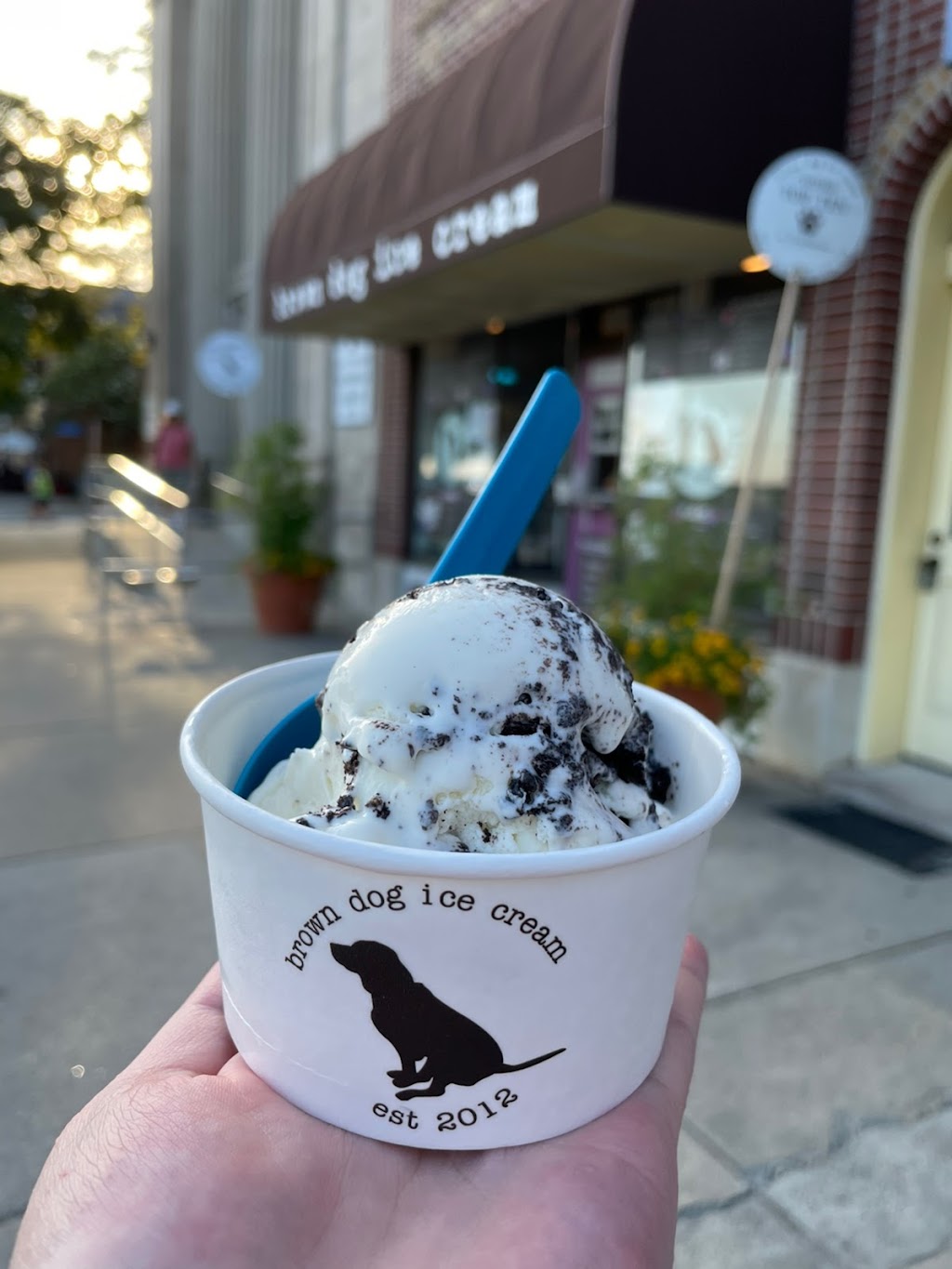 Brown Dog Ice Cream | 203 Mason Ave, Cape Charles, VA 23310, USA | Phone: (757) 695-3868