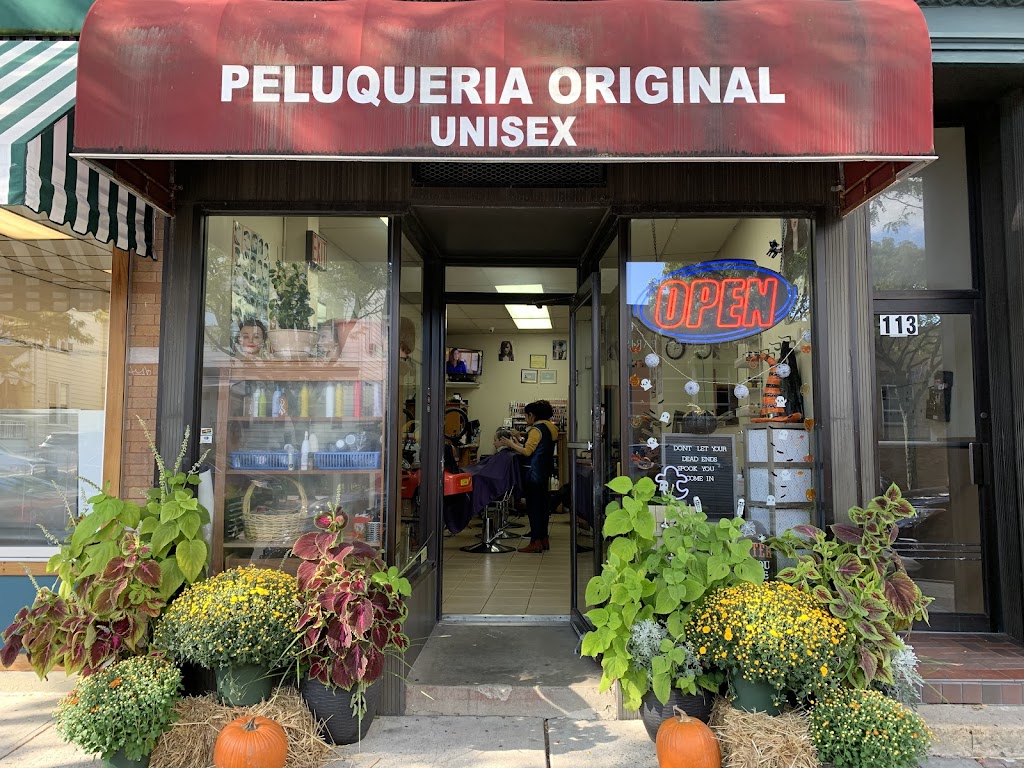 Peluqueria Original Unisex | 113 Beekman Ave, Sleepy Hollow, NY 10591 | Phone: (914) 332-5675