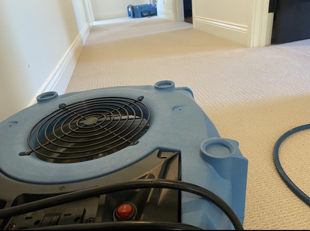 Ultra Clean Carpet & Upholstery Cleaning | 719 Meadow Ln, Hudson, WI 54016 | Phone: (715) 386-5900