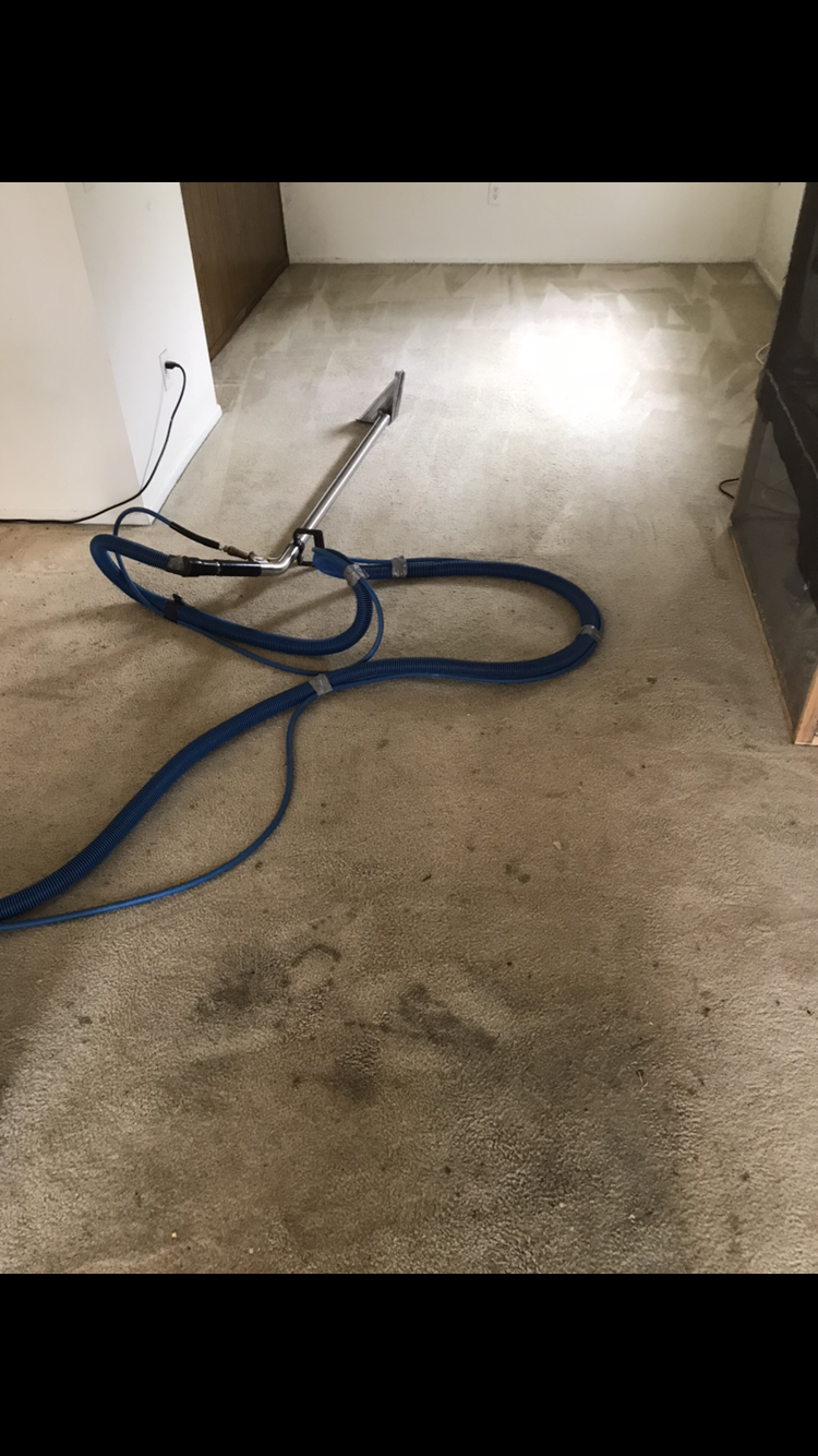 Ez Sparkle Green Carpet Cleaning | 19144 Hamlin St, Reseda, CA 91335, USA | Phone: (310) 744-0887