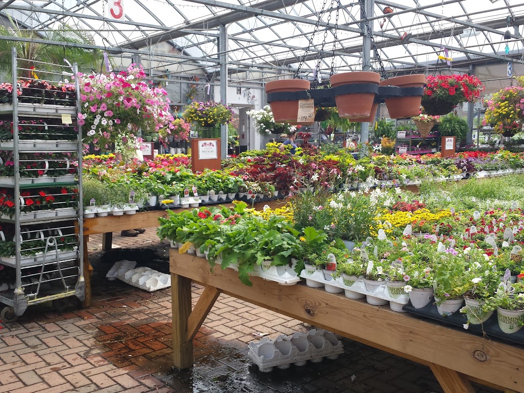 Oakland Nursery - New Albany | 5211 Johnstown Rd, New Albany, OH 43054, USA | Phone: (614) 917-1020