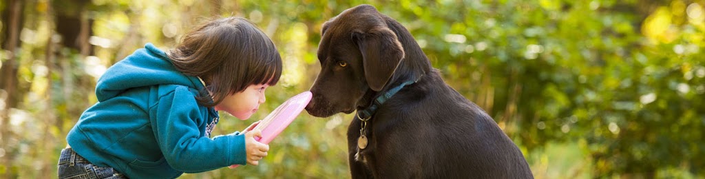 Snoqualmie Valley Animal Hospital | 32020 SE 40th St, Fall City, WA 98024, USA | Phone: (425) 222-7220