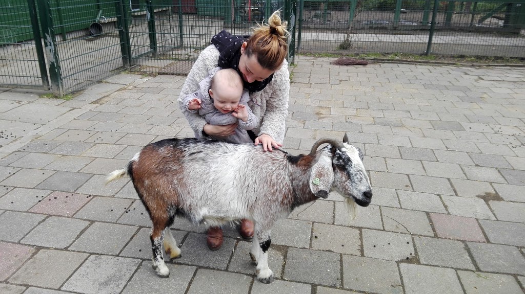 Petting Farm "de Werf" | Archimedeslaan 59, 1098 PX Amsterdam, Netherlands | Phone: 020 694 2694