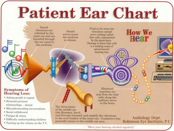 The Hearing Center at ENT Specialists | 25500 Meadowbrook Rd #170, Novi, MI 48375, USA | Phone: (248) 488-7711