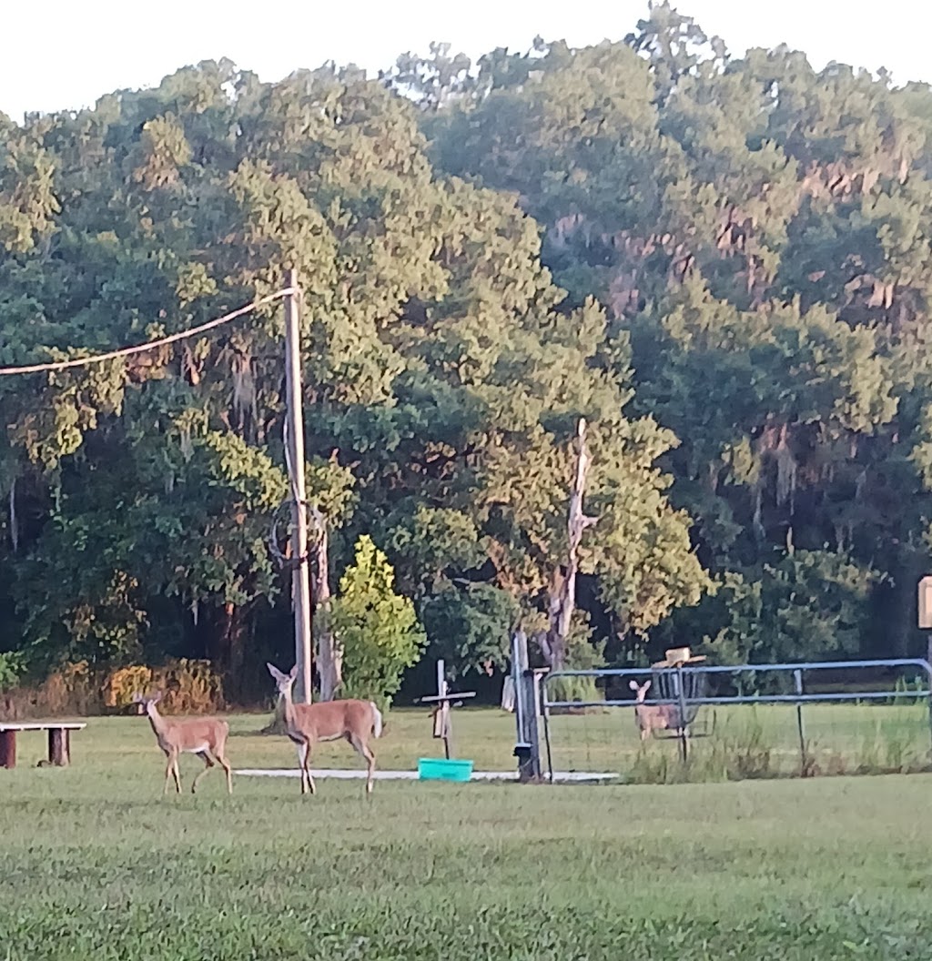 Moonlight Meadows DGC | 24237 Malvern St, Brooksville, FL 34601, USA | Phone: (201) 572-6244