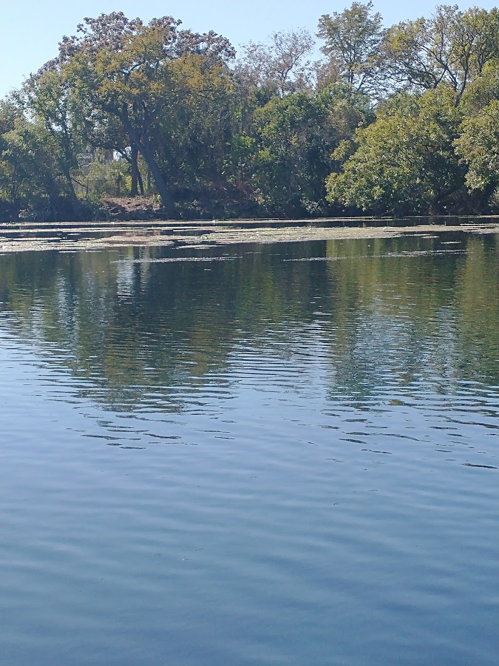 Spring Lake | 201 San Marcos Springs Dr, San Marcos, TX 78666, USA | Phone: (512) 245-7590