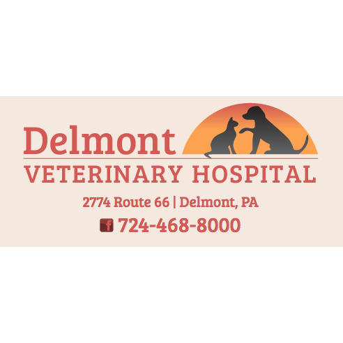 Delmont Veterinary Hospital | 2774 PA-66, Delmont, PA 15626, USA | Phone: (724) 468-8000