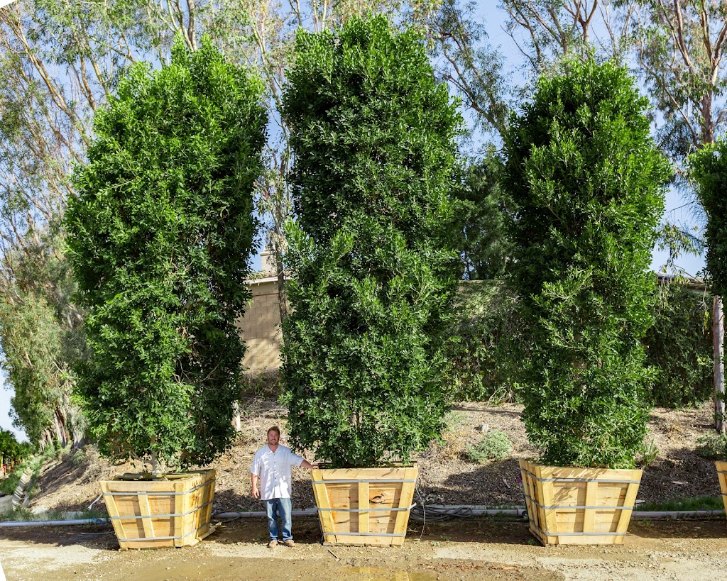 Moon Valley Nurseries | 17715 Amie Ave, Torrance, CA 90504, USA | Phone: (310) 747-3899