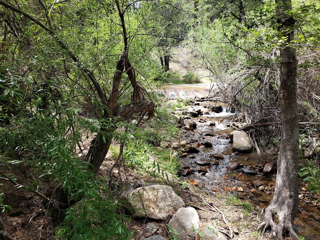 Santa Ana River Trail 2E03 | 43730-44598 CA-38, Angelus Oaks, CA 92305, USA | Phone: (909) 382-2882