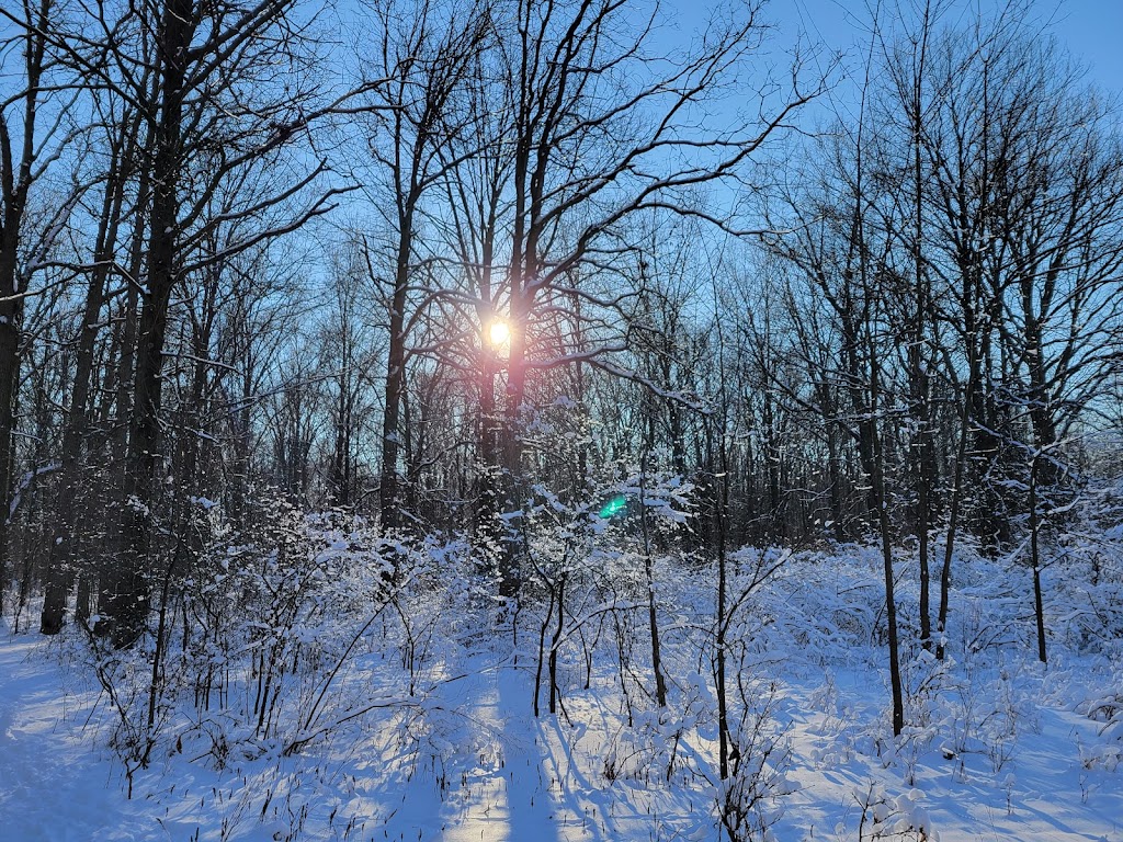 Ojibway Prairie Provincial Nature Reserve | 5200 Matchette Rd, Windsor, ON N9C 4E8, Canada | Phone: (519) 966-5852