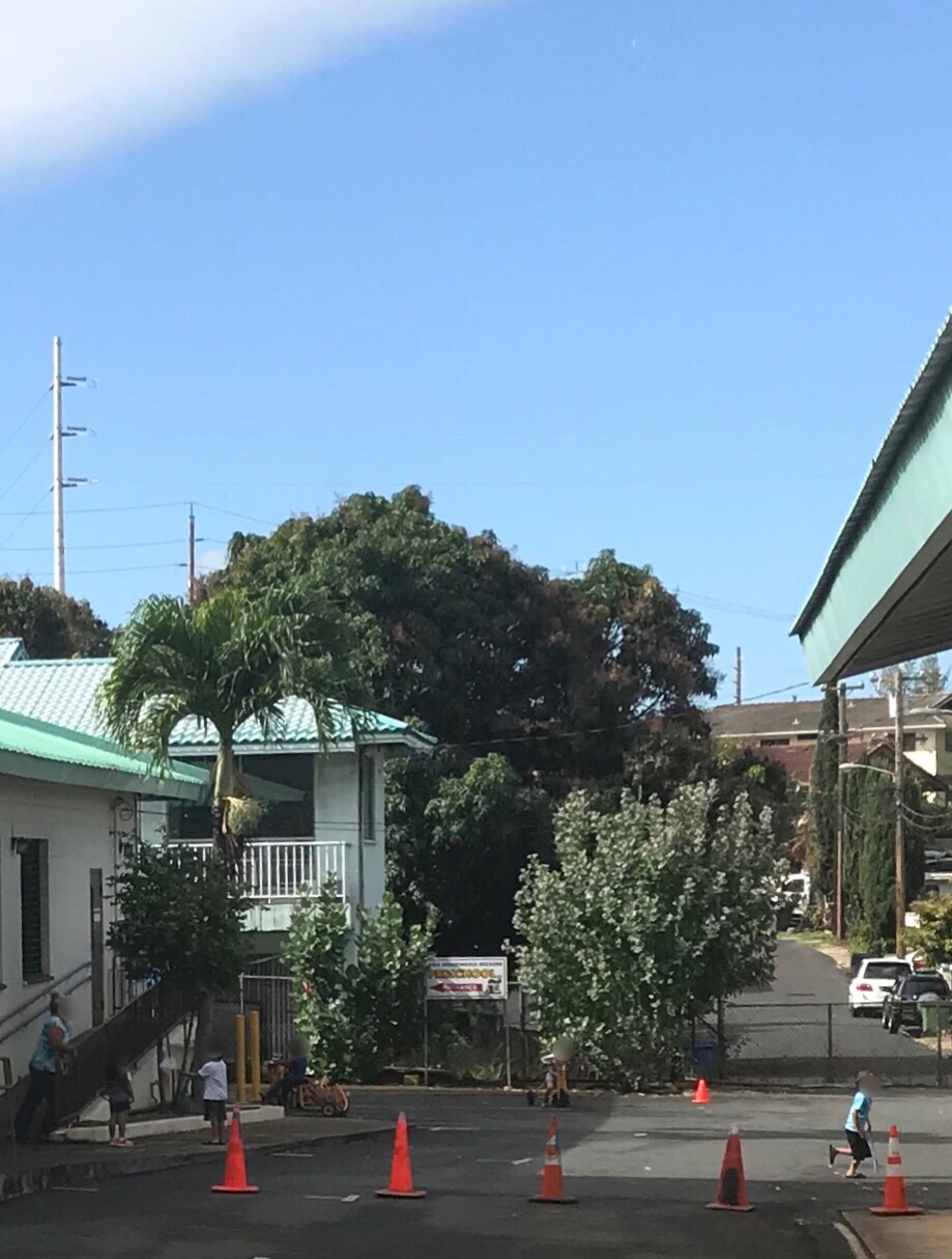 Aiea Hongwanji Pre-School and Kindergarten | 99-186 Puakala St, Aiea, HI 96701 | Phone: (808) 488-0404