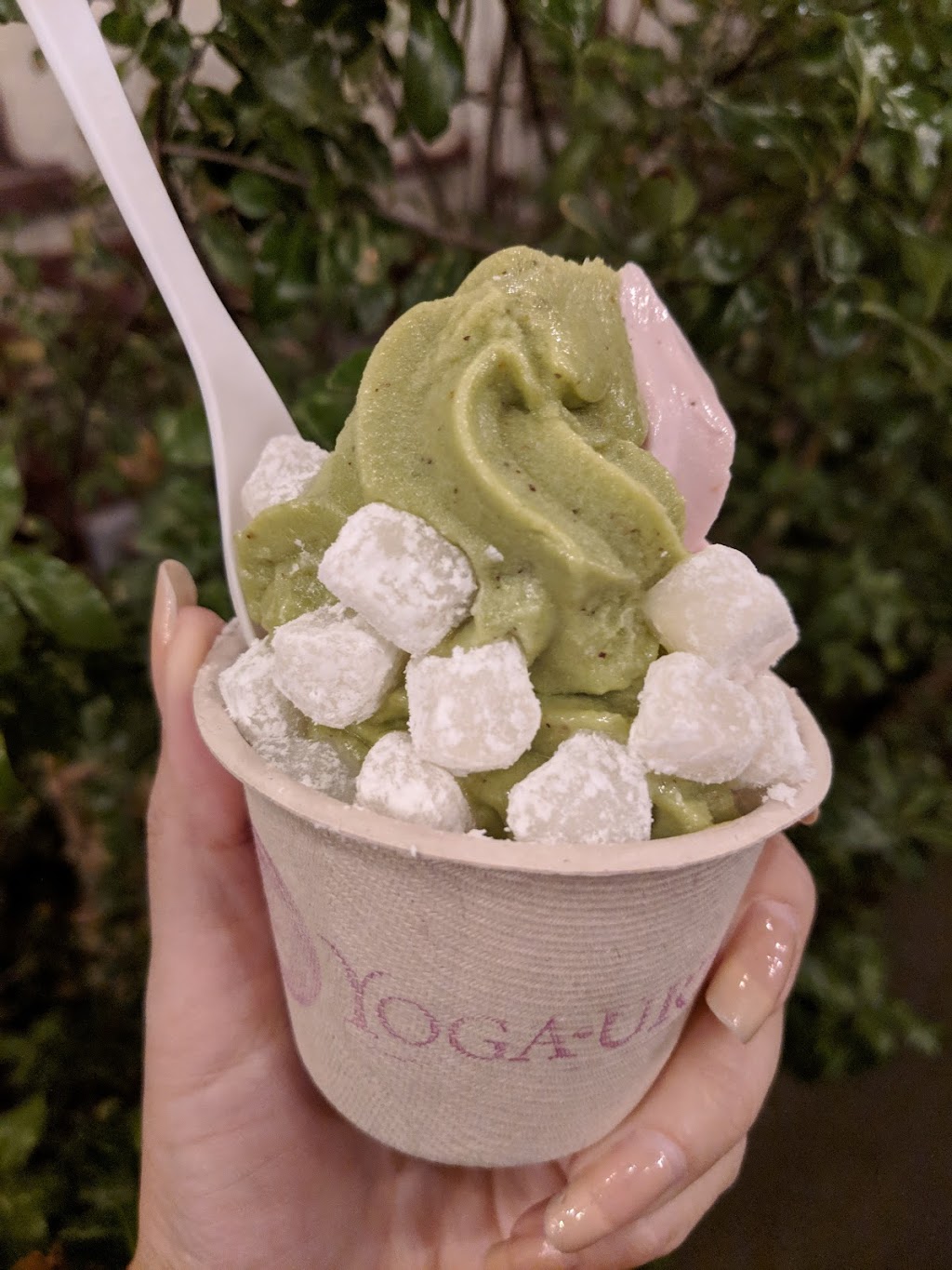 Yoga-urt | 1407 W Kenneth Rd, Glendale, CA 91201, USA | Phone: (818) 545-3880