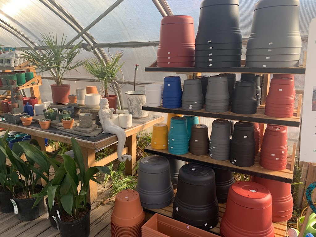 Eggleston Garden Center & Farmers Market | 110 La Valette Ave suite d, Norfolk, VA 23504, USA | Phone: (757) 625-2044