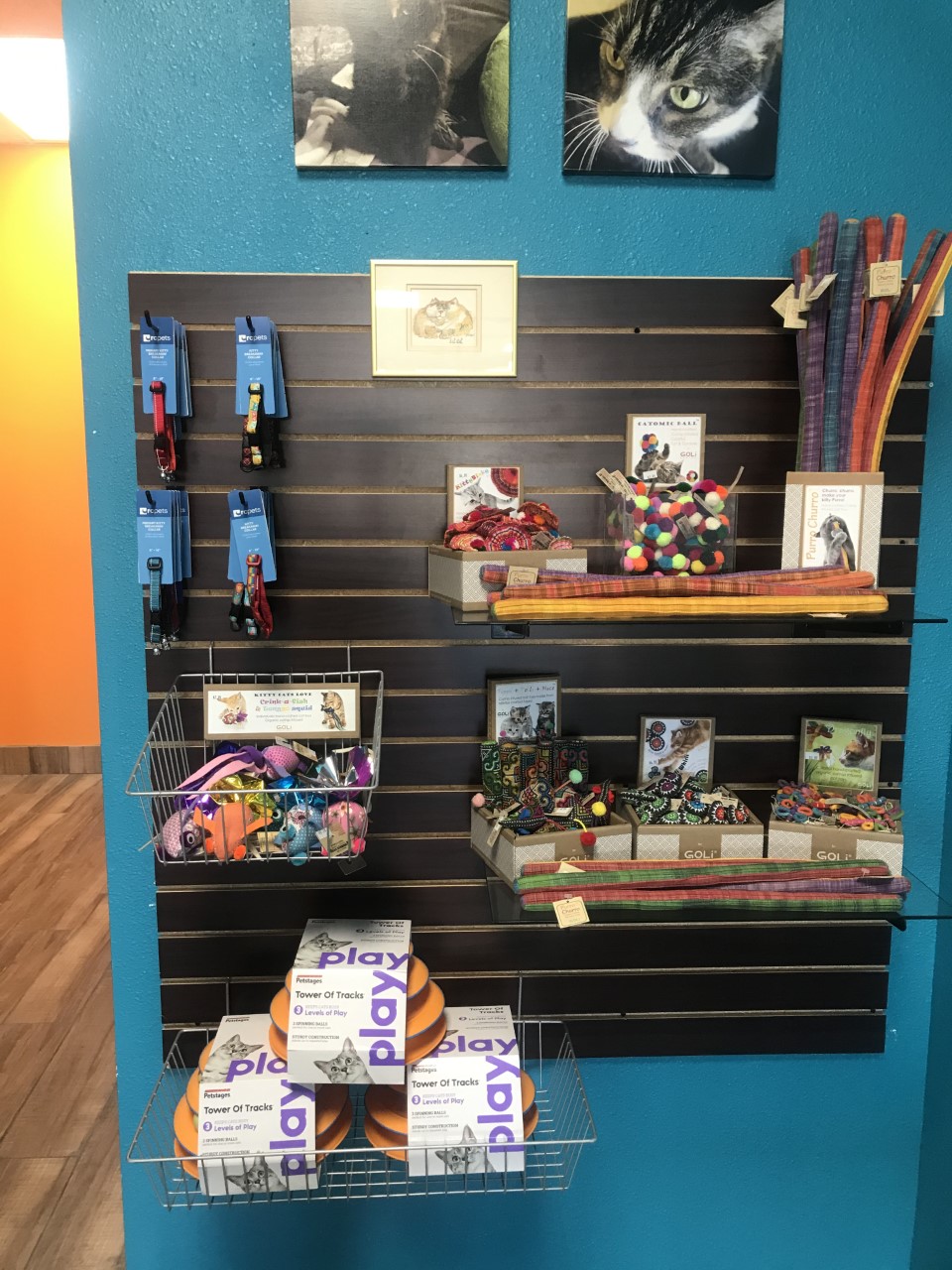 Gordys Goodies Pet Food & Supplies | 15425 S 48th St STE 116, Phoenix, AZ 85044 | Phone: (480) 687-7191