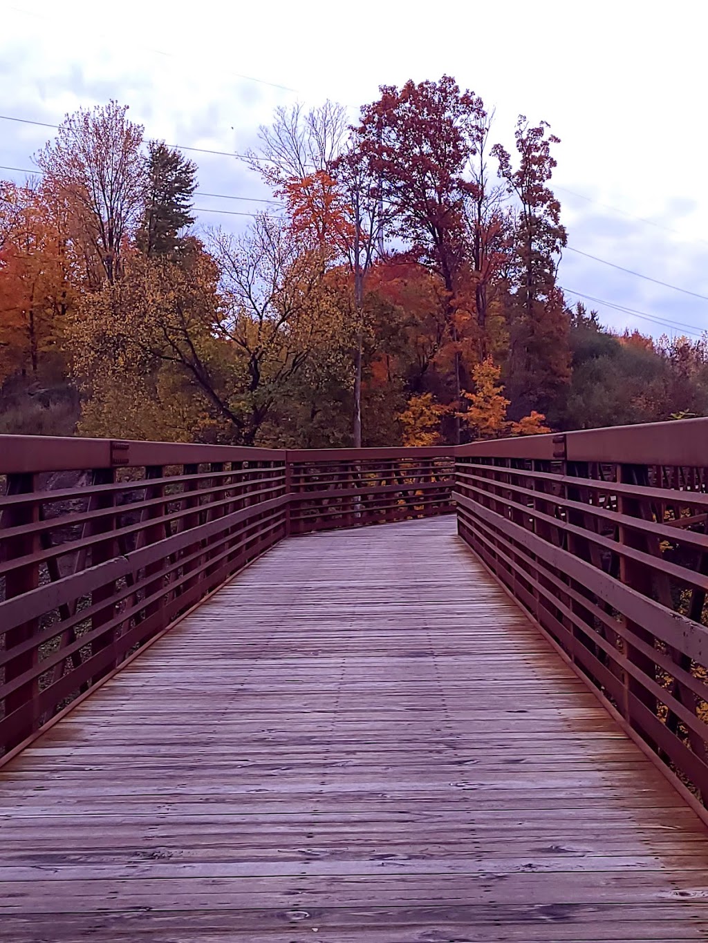 Lorain County Metro Parks High Meadows Shelter #1 | 1750 Ford Rd, Elyria, OH 44035, USA | Phone: (440) 324-5481