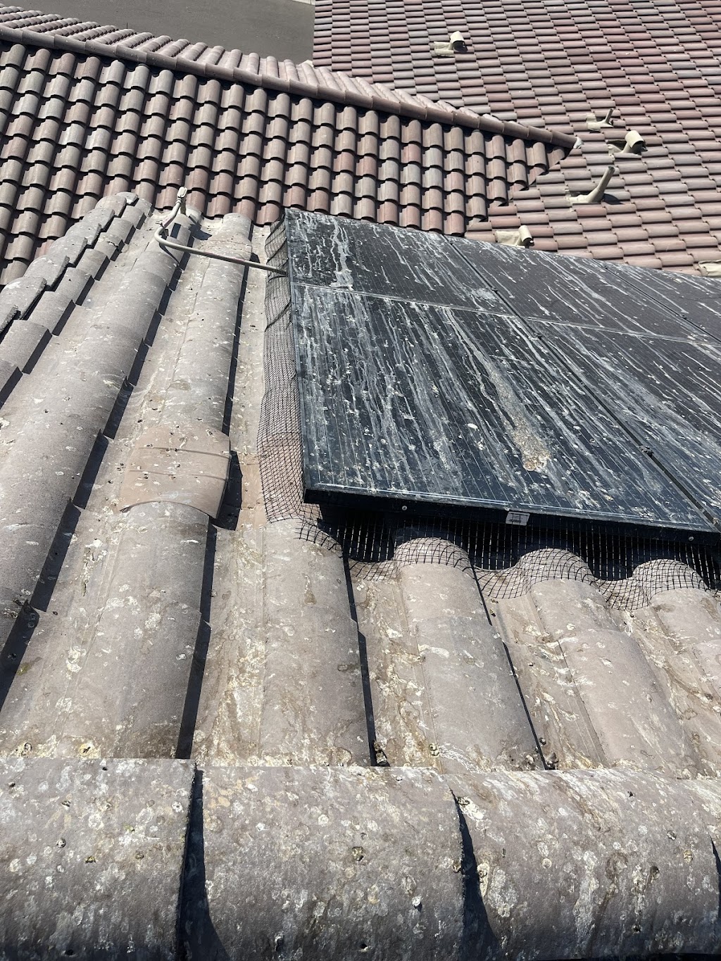 Hopper Pest Control LLC | 13801 S Tuthill Rd, Buckeye, AZ 85326, USA | Phone: (602) 908-6765