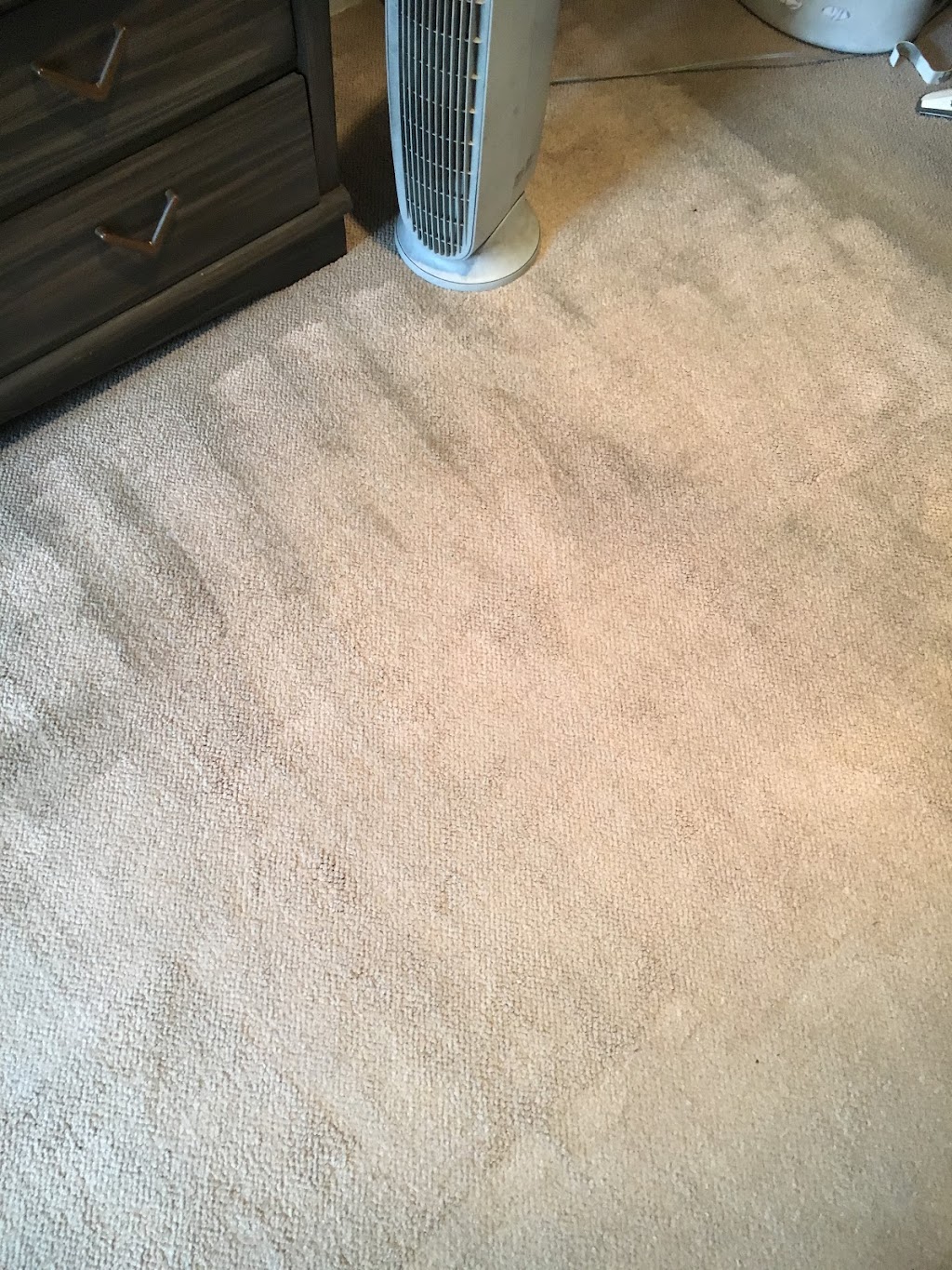 PRIUS CARPET CLEANING 24/7 | 20201 Sherman Way #203, Winnetka, CA 91306, USA | Phone: (323) 500-0818