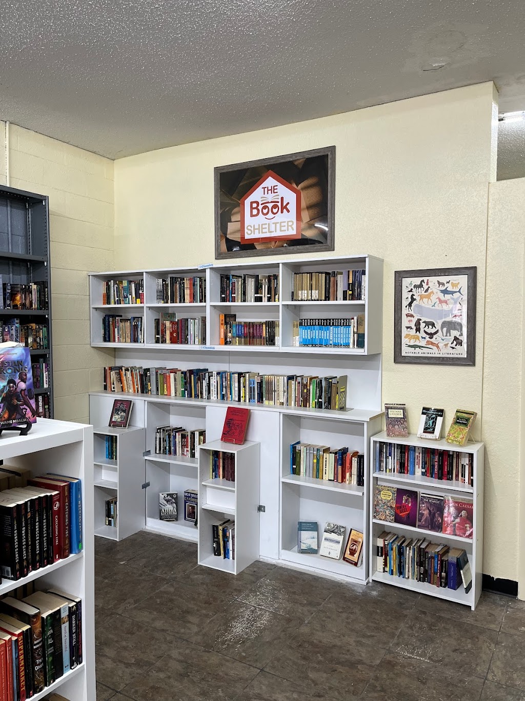 The Book Shelter | 907 Dundee Rd, Dundee, FL 33838, USA | Phone: (863) 268-4273