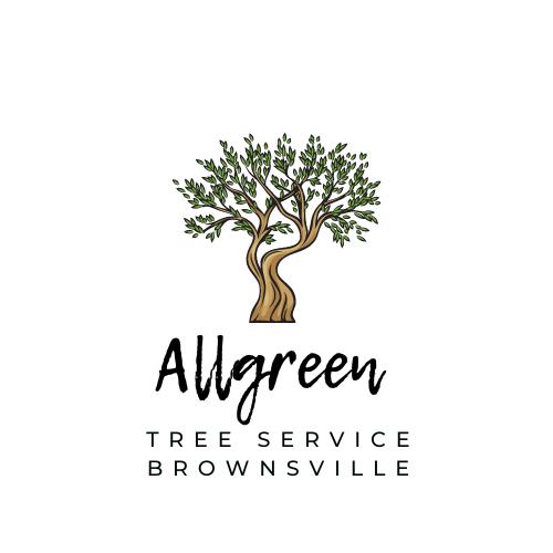 Allgreen Tree Service Brownsville | 2905 Sandia St, Brownsville, TX 78521, United States | Phone: (956) 382-6813