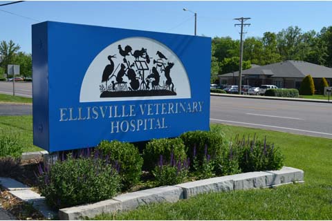 Ellisville Veterinary Hospital | 210 Clarkson Rd, Ellisville, MO 63011, USA | Phone: (636) 227-7154