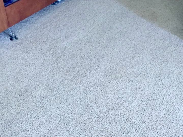 Steves Carpet & Upholstery Cleaning Experts | 3130 Kathleen Rd, Lakeland, FL 33810, USA | Phone: (863) 563-1239